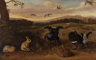 Aves de caça, coelhos e andorinhas num parque
